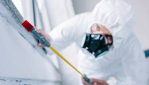 Best Termite Inspection and Treatment  in Conneaut Lakeshore, PA